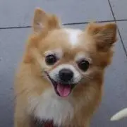 なちゅ