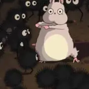 chayの画像