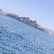 あお