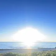 はちみつ