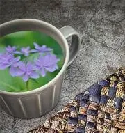 Mk Sciocの画像