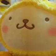 K.S
