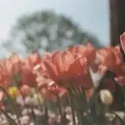 aa97の画像