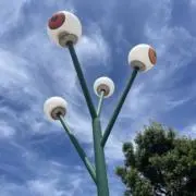 たろの画像