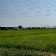 ちらんじあの画像