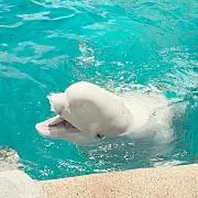 あんそにー【プロフ必読】