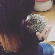 Qの画像