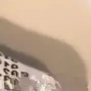 .✿☻✿.の画像