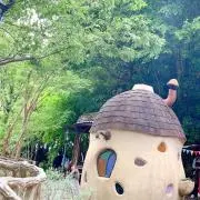 ことりの画像
