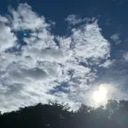 モーフィの画像