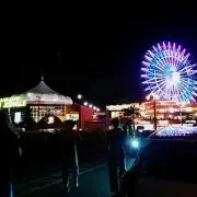 うどんの画像