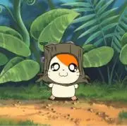 ABCの画像