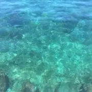 松竹梅