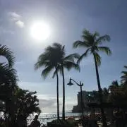 maimaikoroの画像