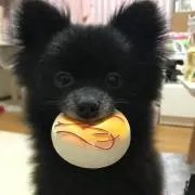 りり
