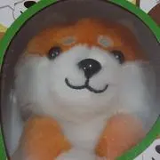 イサモの画像