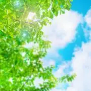あけりんの画像