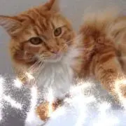 たなっち