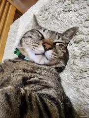 そいの画像
