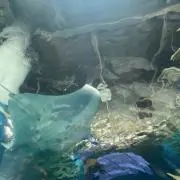 りの画像