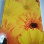 ✨中邑屋 ❤必ず、プロフ読んでください❤の画像