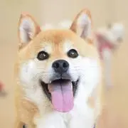 俺の 空