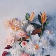 なつ