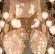 pipimoの画像