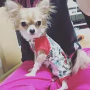 ☆あや☆の画像