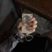 マルモリリの画像