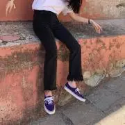 ハマベの画像