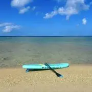 アルタの画像
