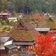 日向の画像