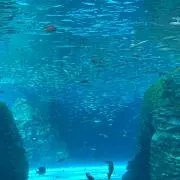 ITの画像