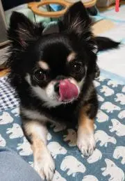 hana✿の画像