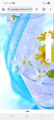 かんなピコの画像