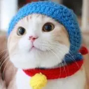 メロん
