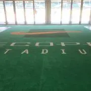 ごん