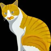 しらたまこ