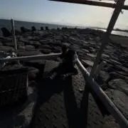 dの画像