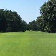 tomの画像