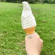 たおくん