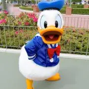 まいなつ