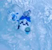 みーーの画像