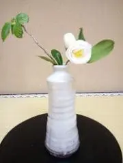 SOKEIの画像