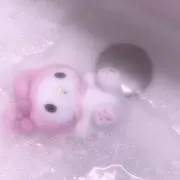 Meriii