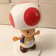 きのこの画像