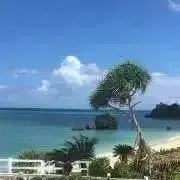 きみどり