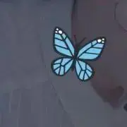 もちの画像