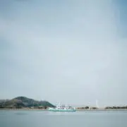 y！の画像